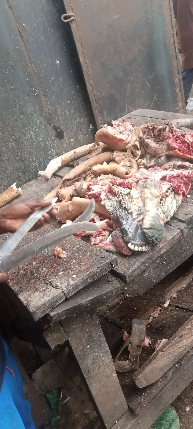 Cow Head, Leg, and Tail