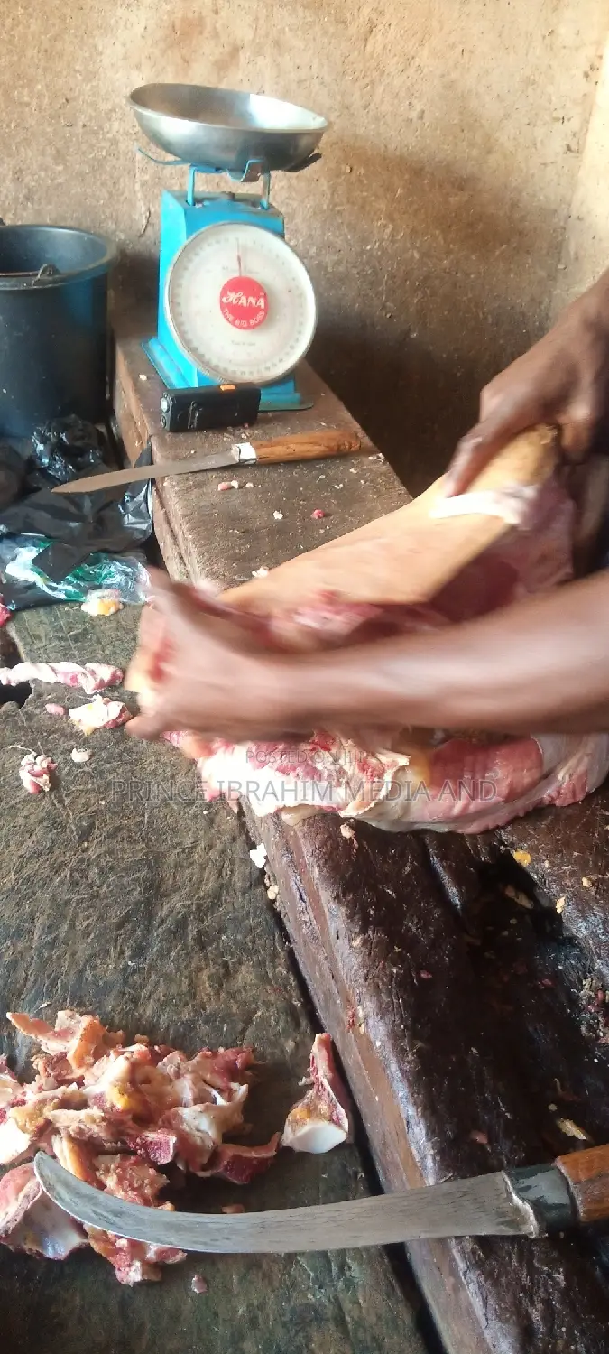Cow Head, Leg, and Tail