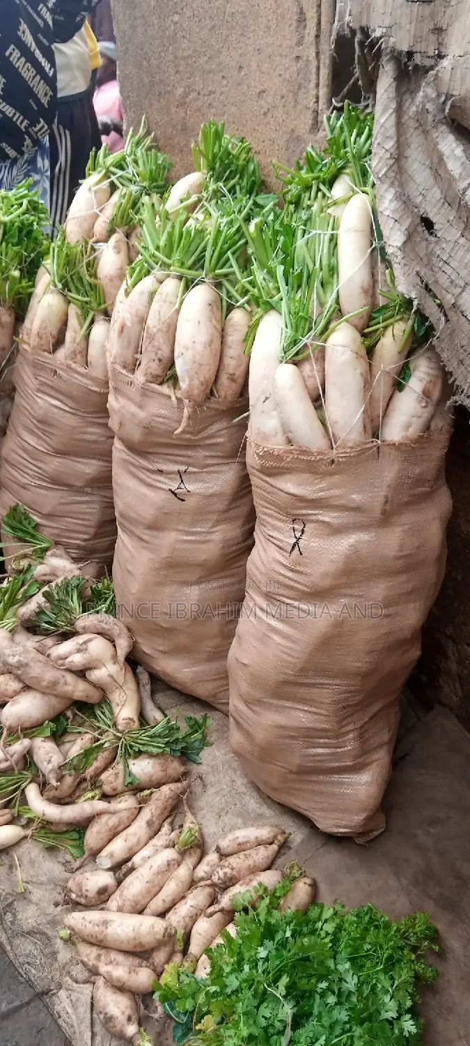 Fresh Radish