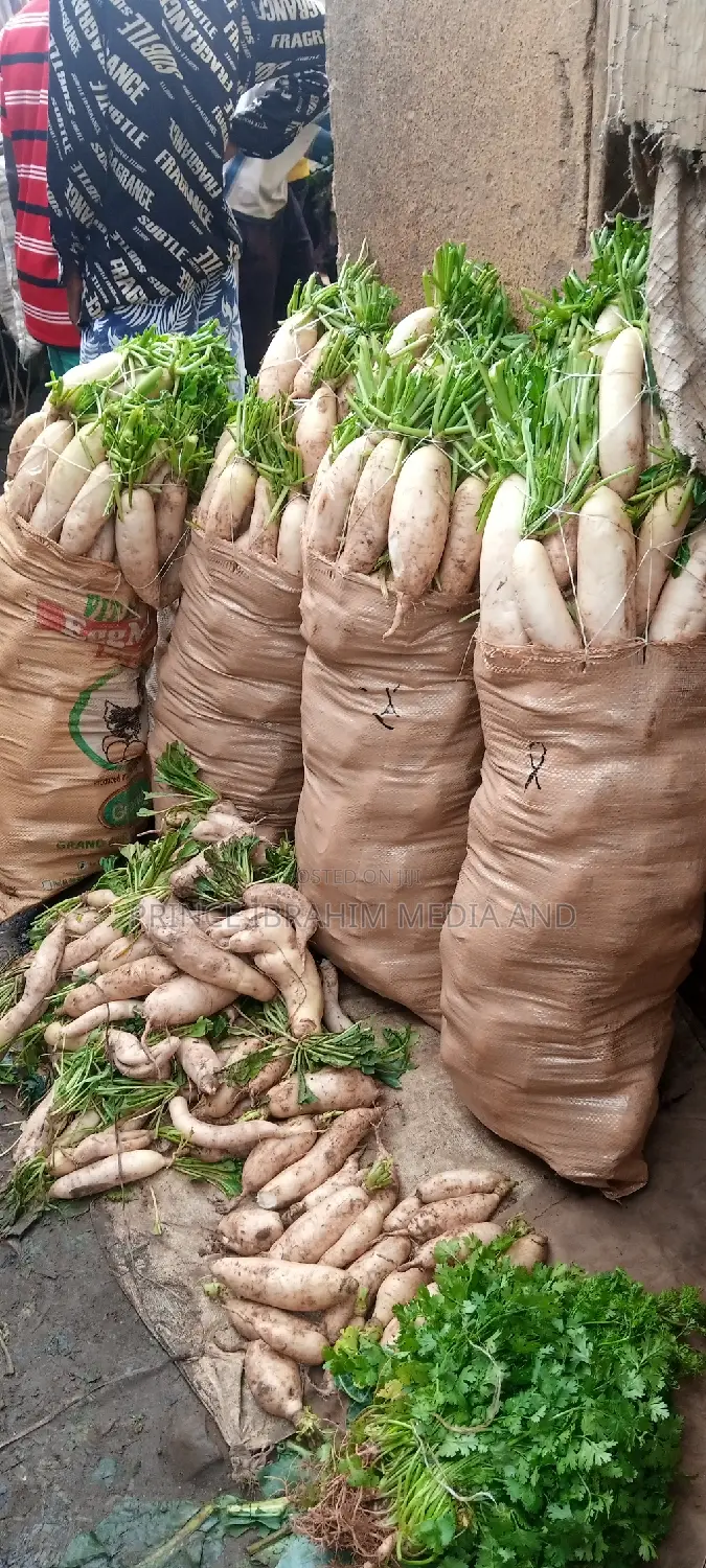 Fresh Radish