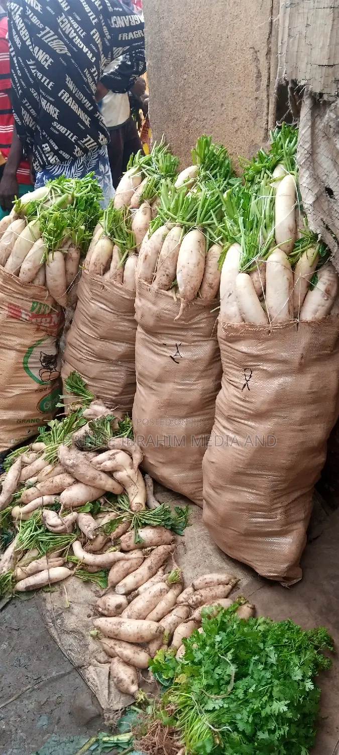 Fresh Radish