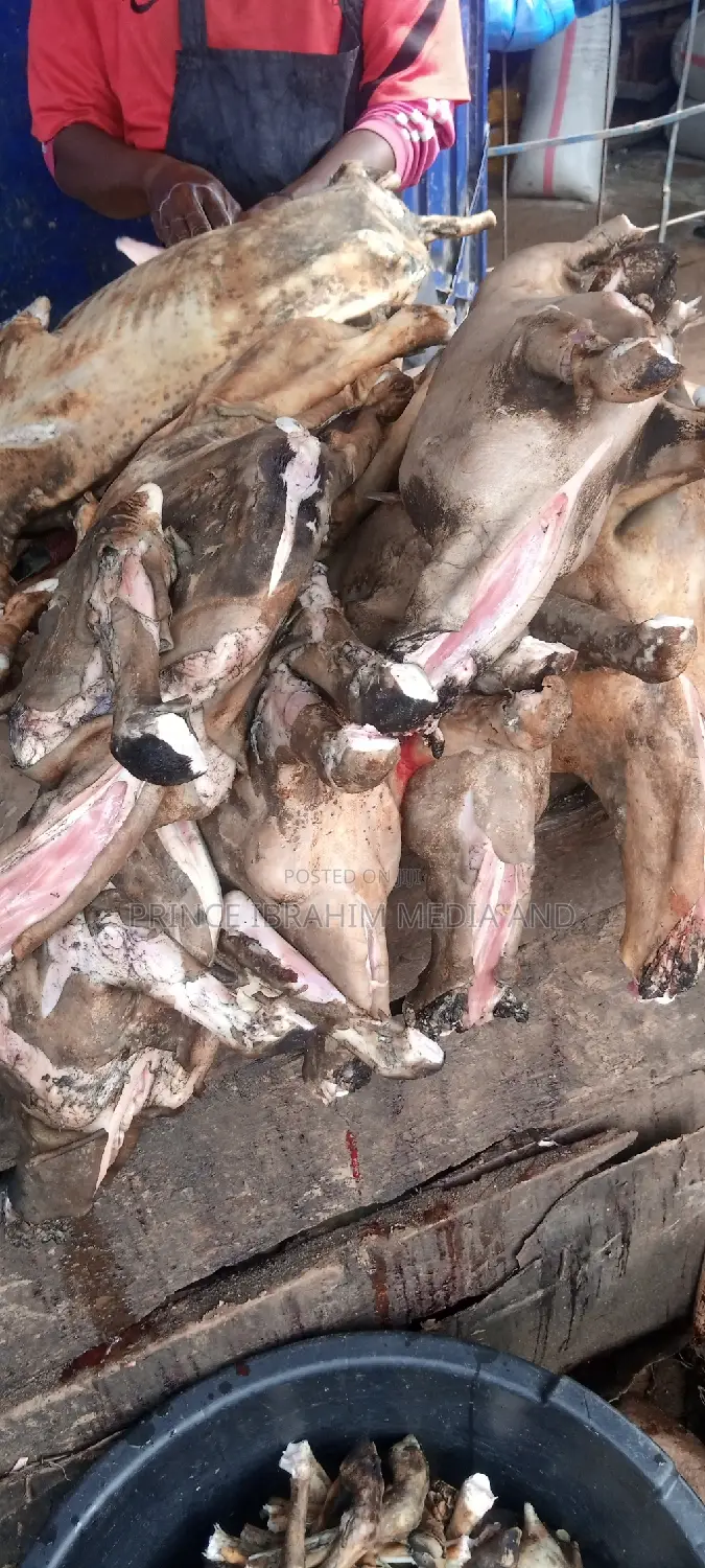 Fresh Goat Meat