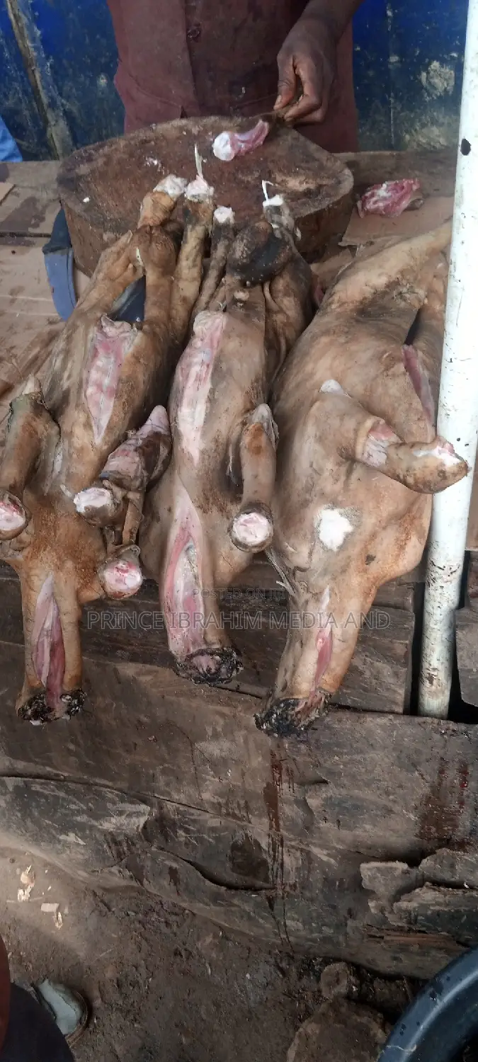 Fresh Goat Meat