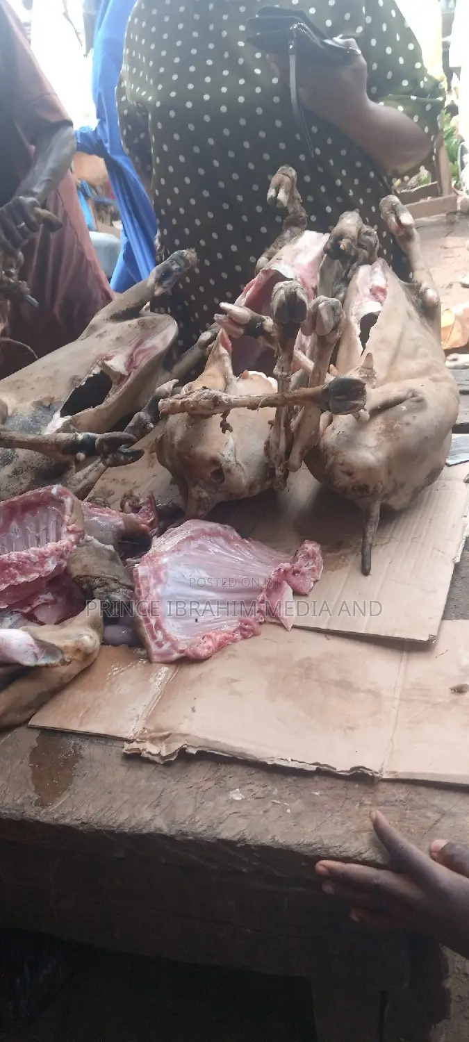 Fresh Goat Meat