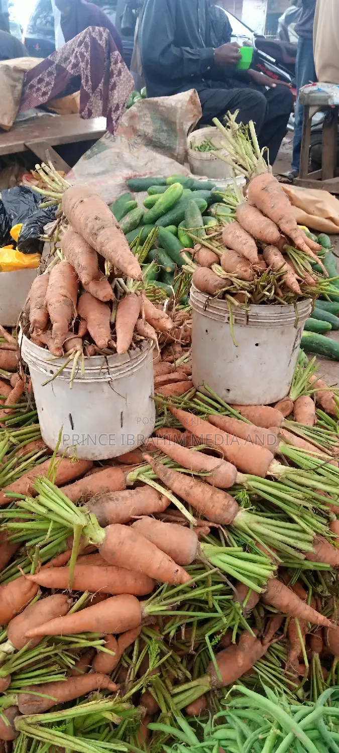 Fresh Carrot