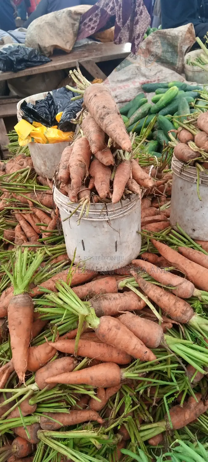 Fresh Carrot