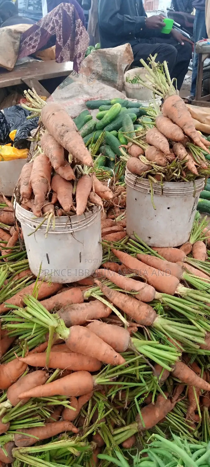 Fresh Carrot