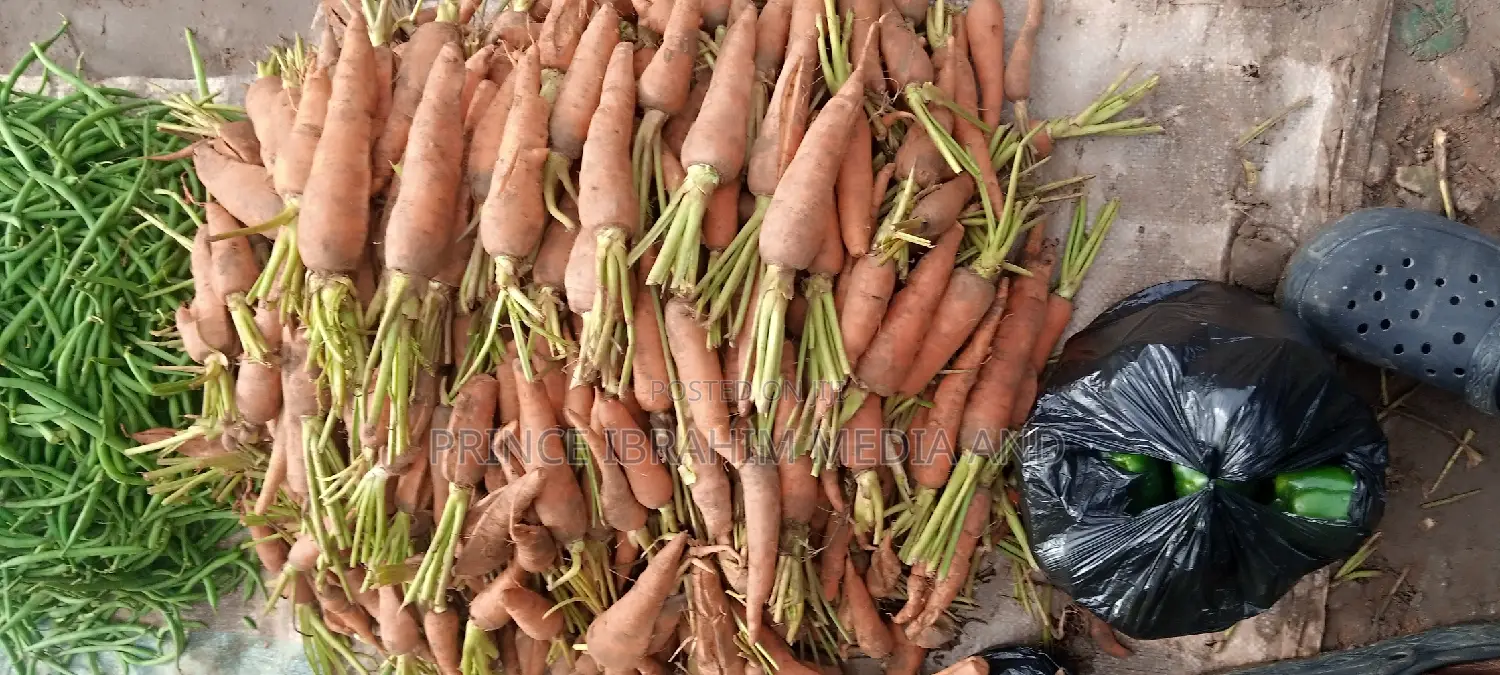 Fresh Carrot