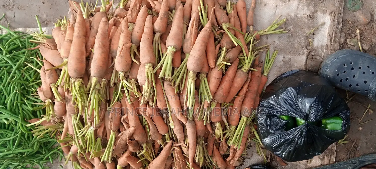 Fresh Carrot