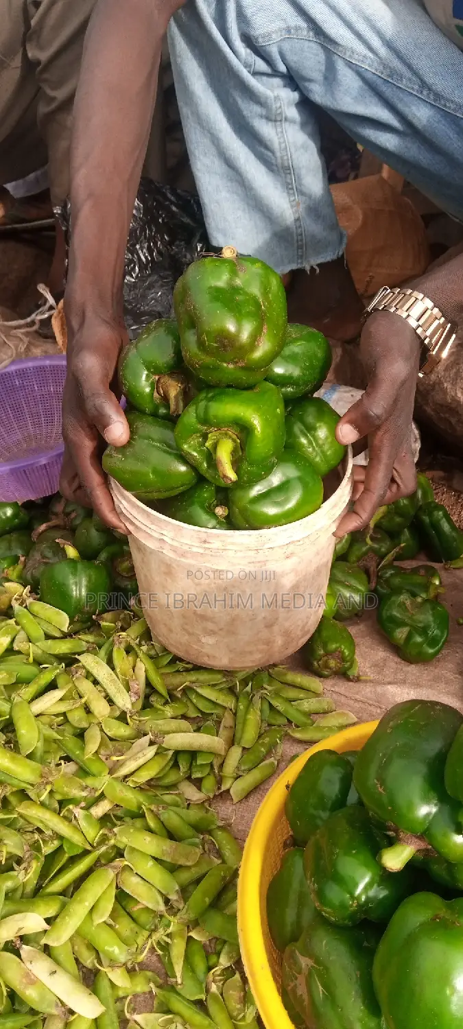 Fresh Green Pepper