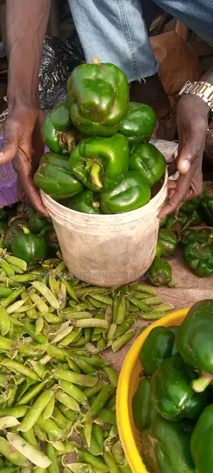 Fresh Green Pepper