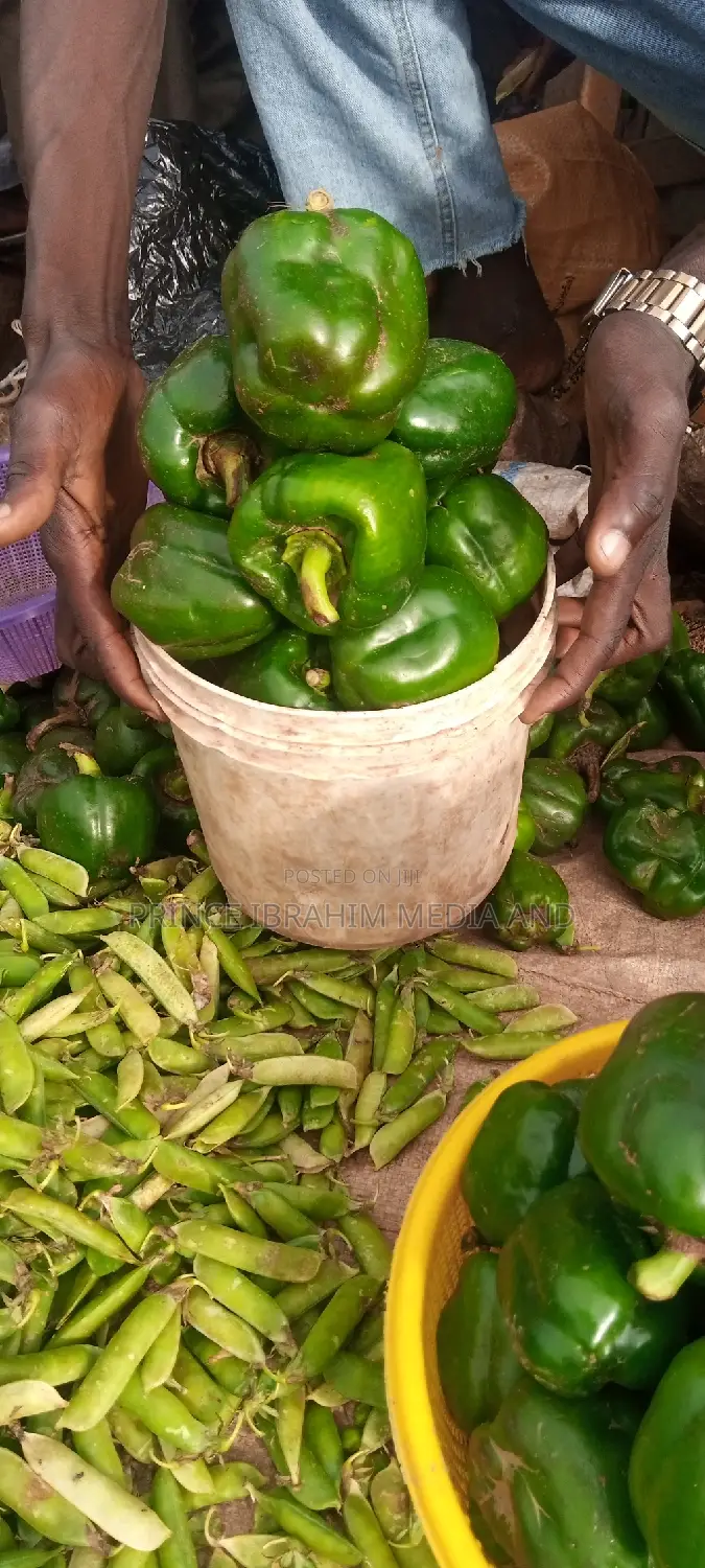Fresh Green Pepper