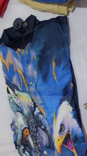 Photo - Elegant Armani Shirt