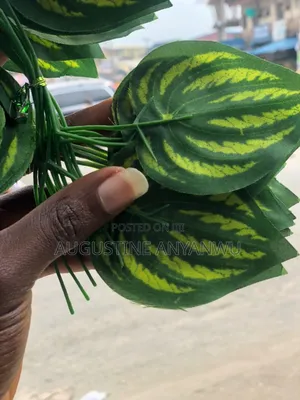 Disneying Dropping Flowers in One Pack
