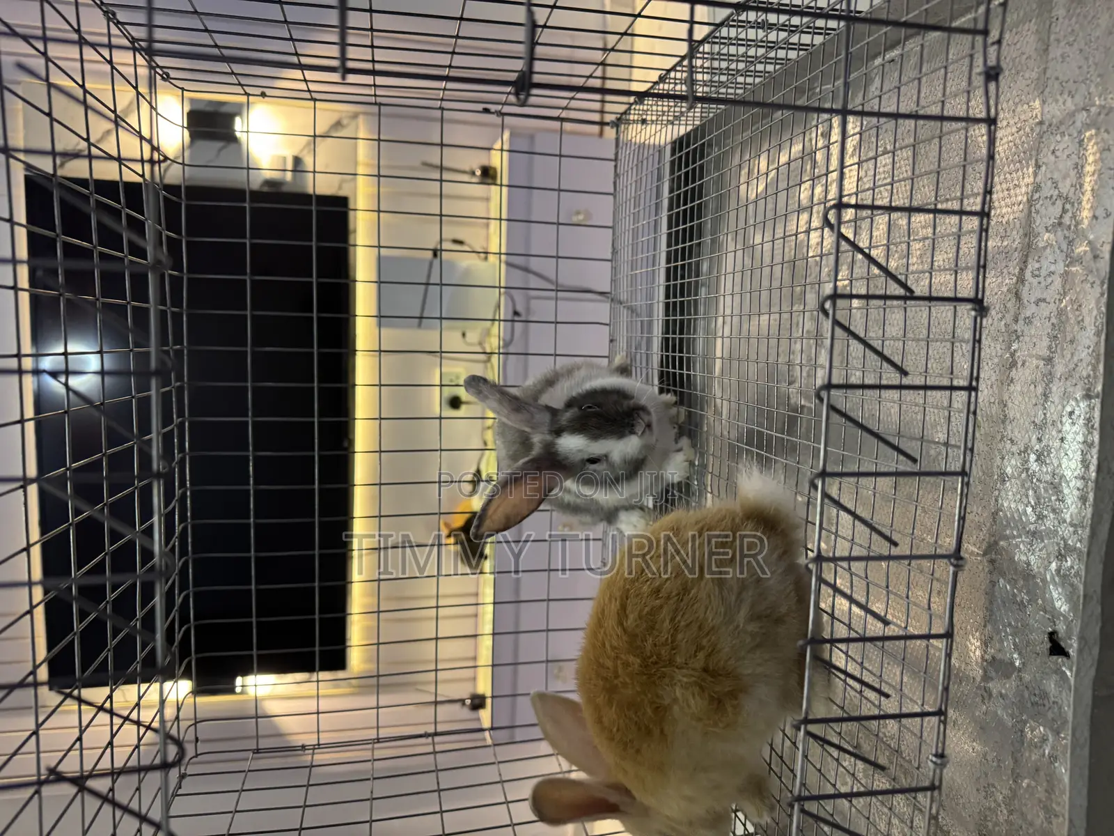 Single Room Rabbit and Pets Cage