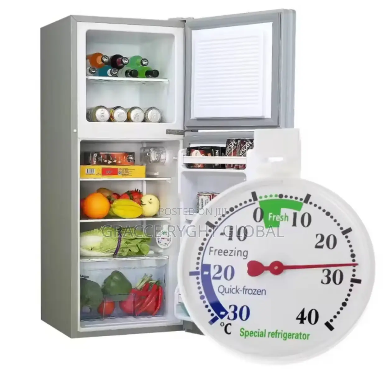 Special Refrigerator Thermometer
