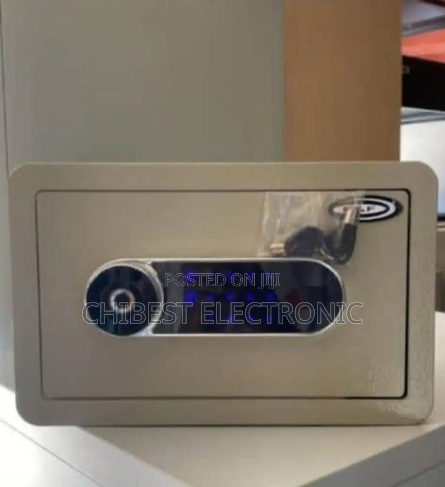 Gray Bissa Electronic Safe