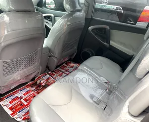 Toyota RAV4 Limited 2008 Silver