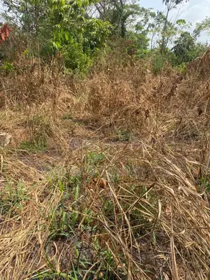 Landed Property