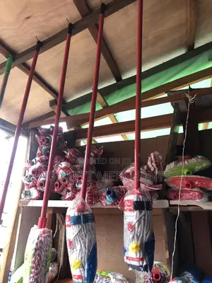 Local Mop With Handle