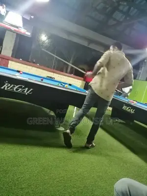 Proffesional Snooker Table Snooker Table