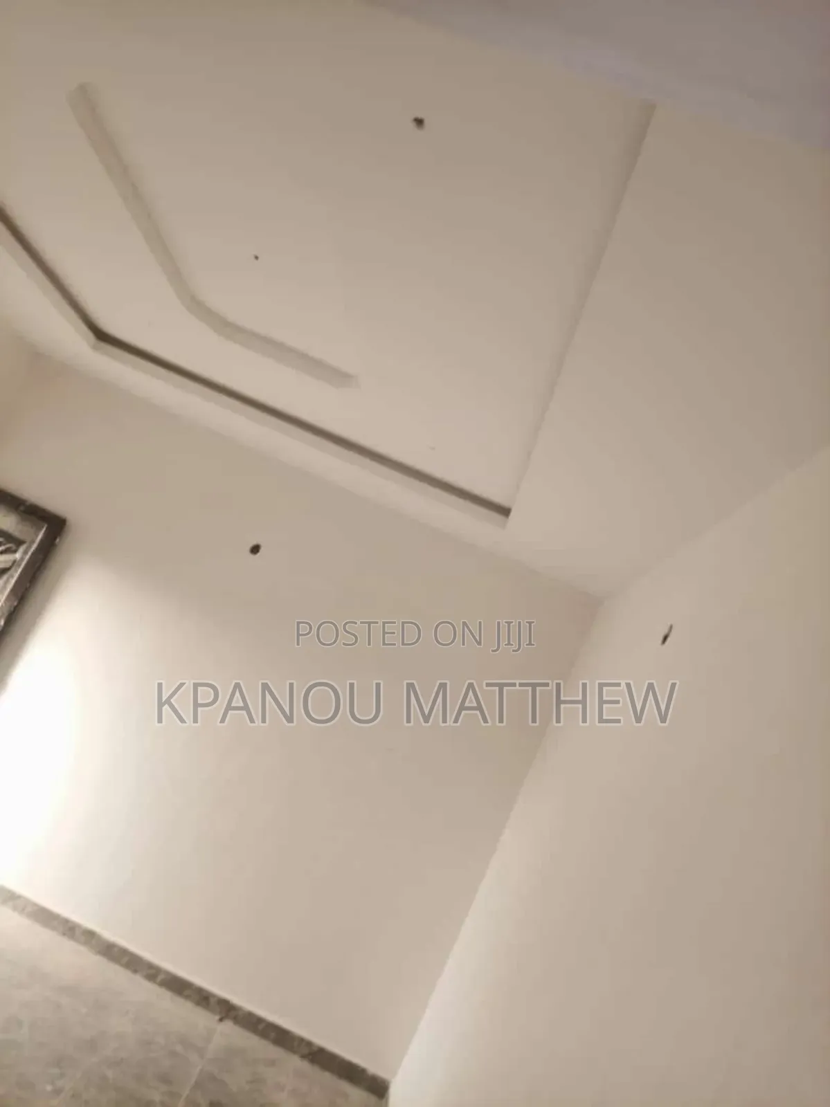 A Professional Painter and Pop Master 