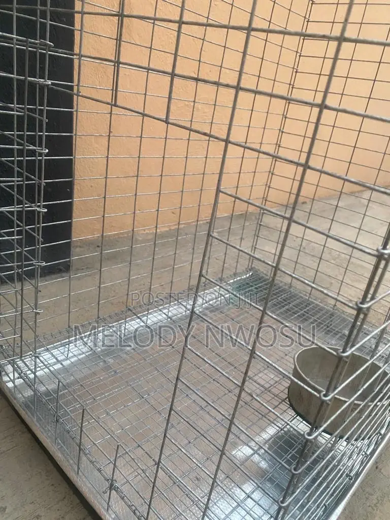 Dog Cages Available for Sale