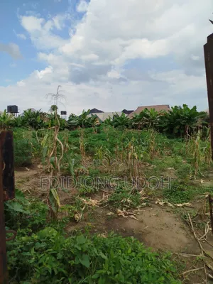 Photo - A 585sq.M Land for Sale at Osongama Estate, Uyo, Akwa Ibom S