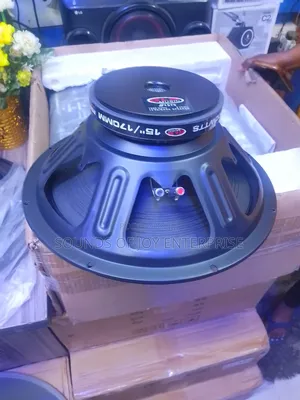 Photo - Professional 15 Inches Titanic Speaker