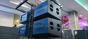 Sound Prince Double 12 Inches Line Array M220