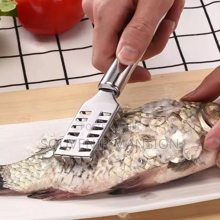 Fish Scrapping