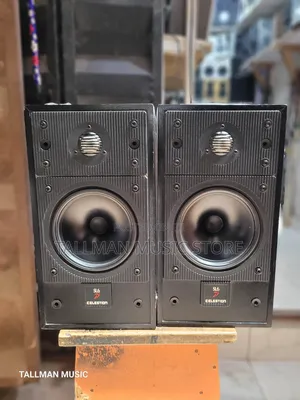 Celestion Sl6si Monitor