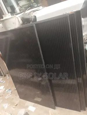 Longi Solar Panel