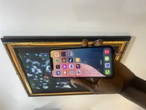 Apple iPhone 11 Pro Max 64 GB Green