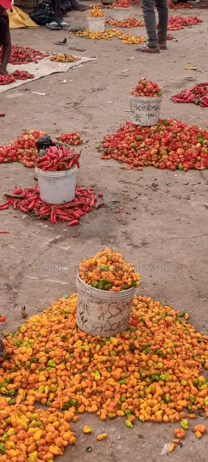 Photo - Fresh Yellow Pepper
