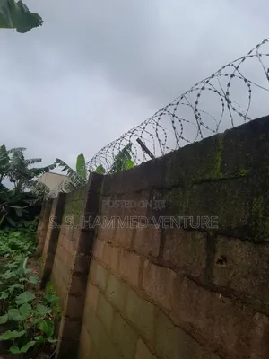 Yard Partitions Security Fencing Barb Wires