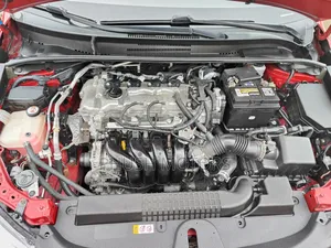 Toyota Corolla LE 2020 Red
