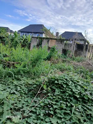 Photo - Land for Sale