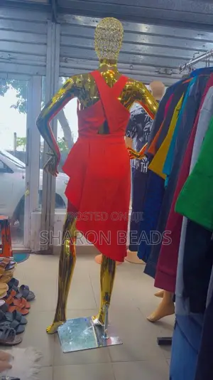 Lovely Ladies Dress
