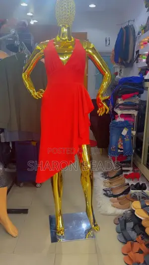 Lovely Ladies Dress