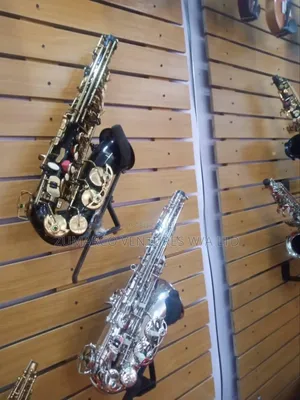 Photo - Professional Alto Saxophone Black/Gold Colour