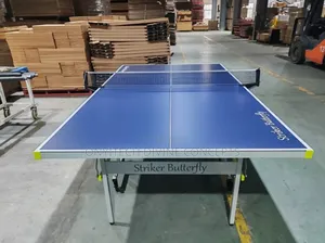 Photo - Imported Indoor Table Tennis Board