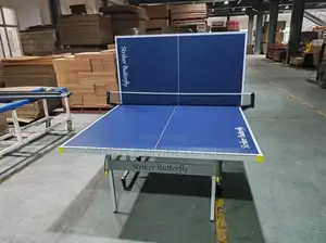 Imported Indoor Table Tennis Board