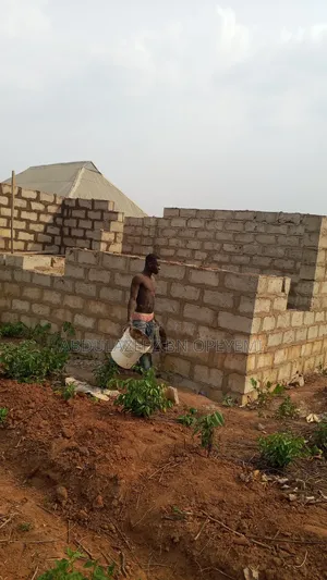 Building Contractor And Site Supervision