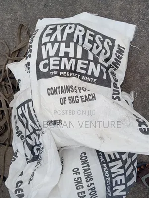 Express White Cement