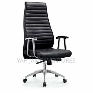 Executive Governors Chair