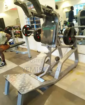 Leg/Shoulder Press