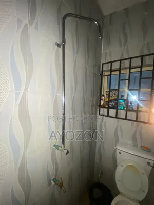Repair of Toilet