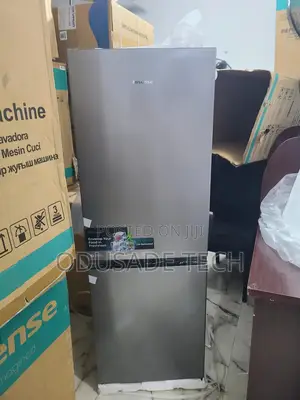 Eco-Friendly 225 L – Hisense Rd29dca Saves Power
