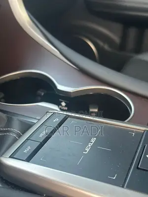 Lexus RX 2022 Gray